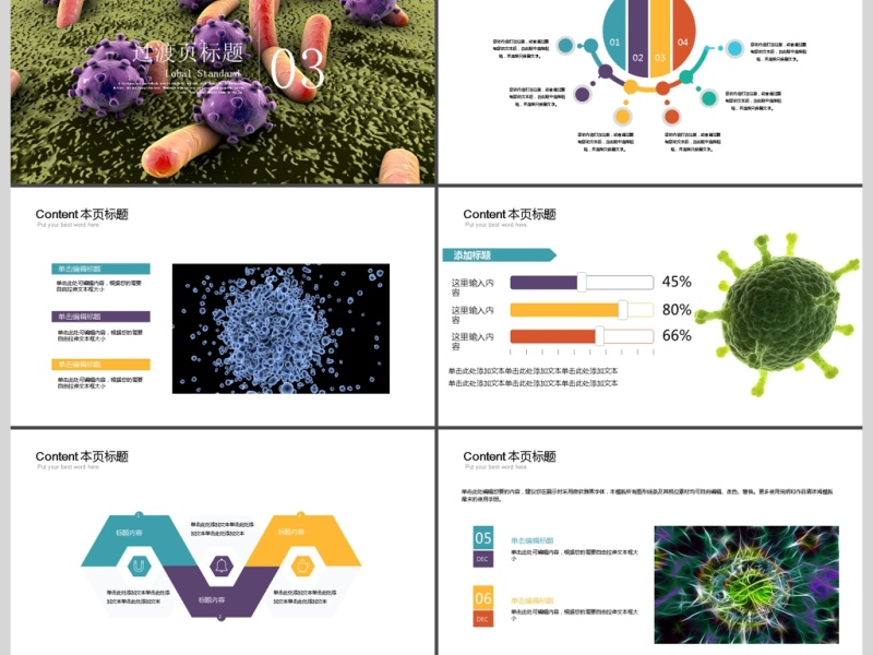 细菌病毒微生物ppt