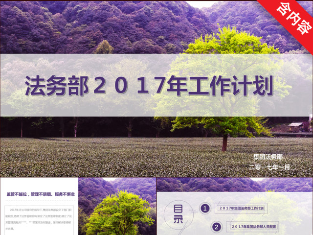 简约清新法务部2017年工作计划 简约清新法务部2017年工作计划