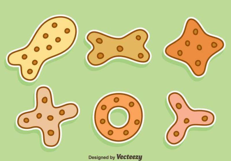 狗饼干集合矢量
