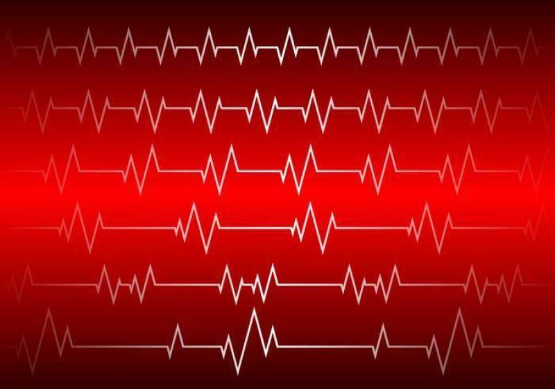 心脏节奏红色背景 矢量