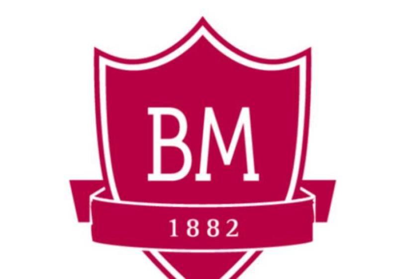 BM标志