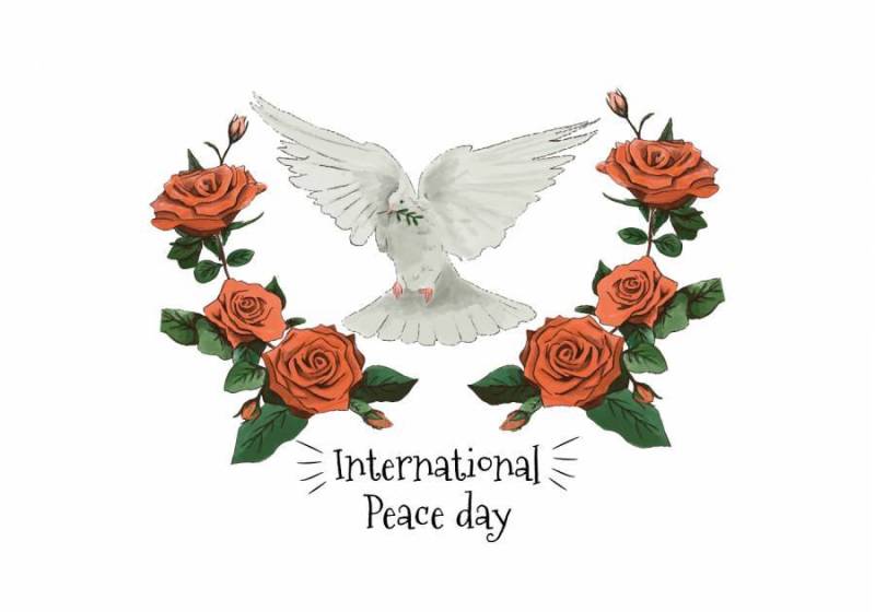 水彩白色鸽子和红玫瑰到国际和平日