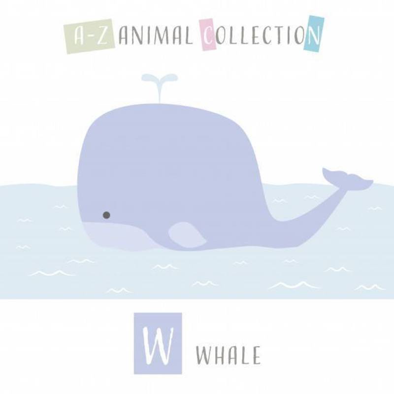 可爱的鲸鱼卡通涂鸦动物字母W.