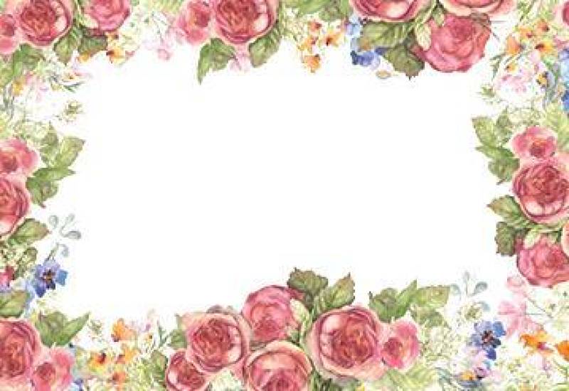 花框架293 - 一个无法形容的颜色的玫瑰框架