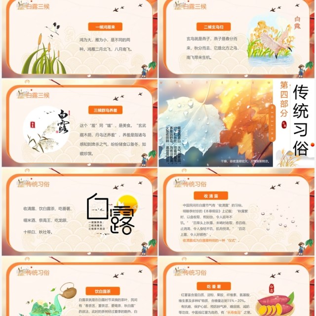 橙色插画风二十四节气之白露PPT模板 橙色插画风二十四节气之白露PPT模板