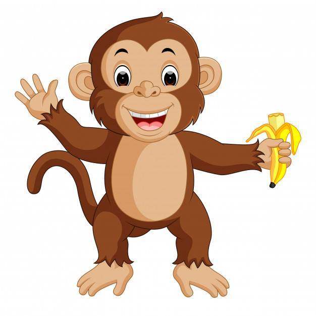 可爱的猴子卡通吃香蕉