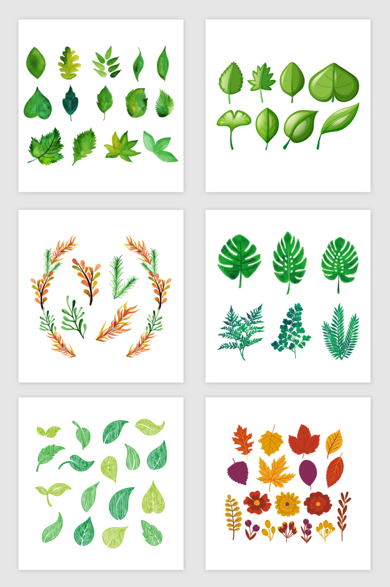 各型各样小清新树叶素材