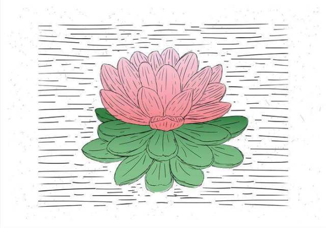  手绘矢量花卉插画
