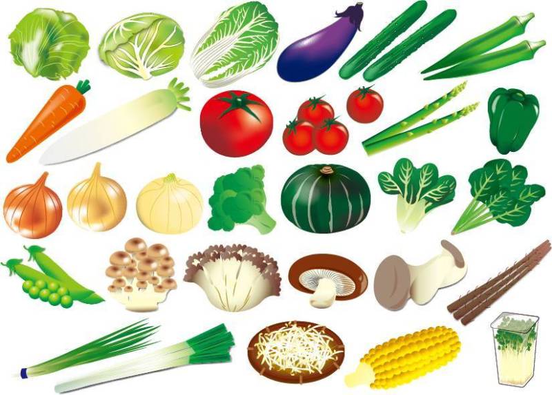 蔬菜的插图素材集合