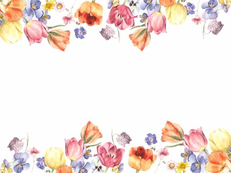 花框架255 - 华丽的花框架装饰框架