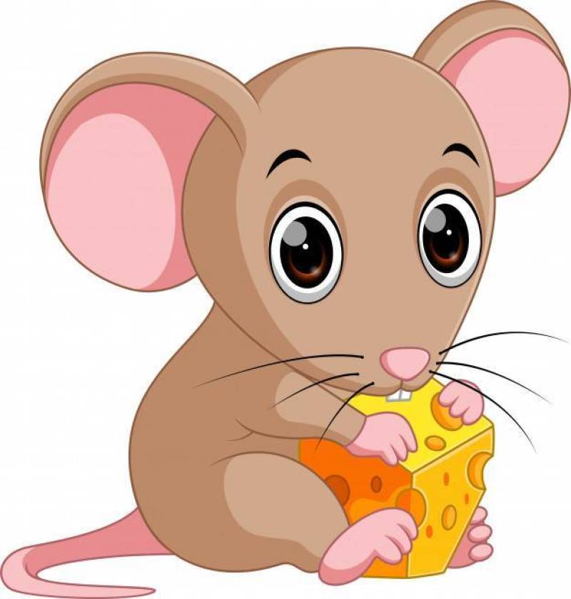 可爱的老鼠卡通控股奶酪