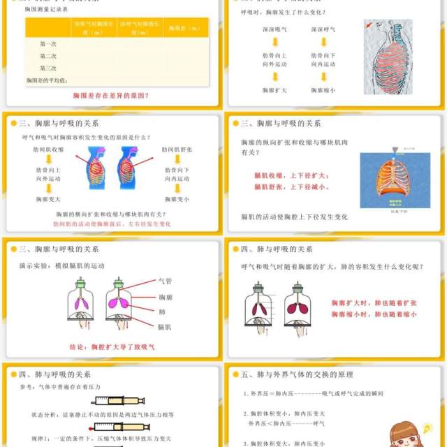 部编版七年级生物下册发生在肺内的气体交换课件PPT模板