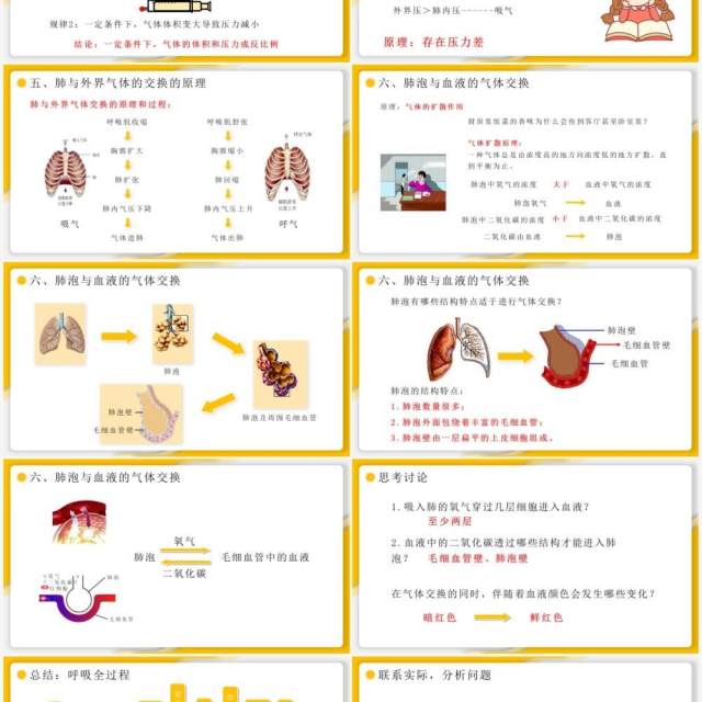 部编版七年级生物下册发生在肺内的气体交换课件PPT模板