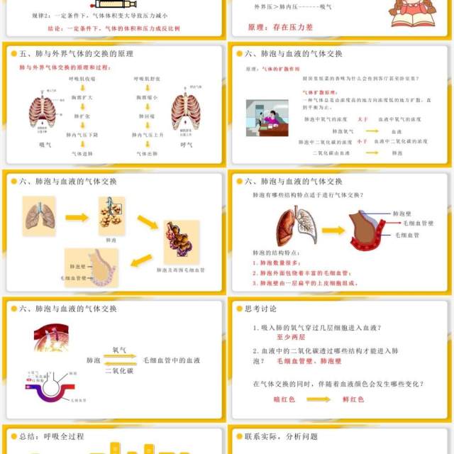 部编版七年级生物下册发生在肺内的气体交换课件PPT模板