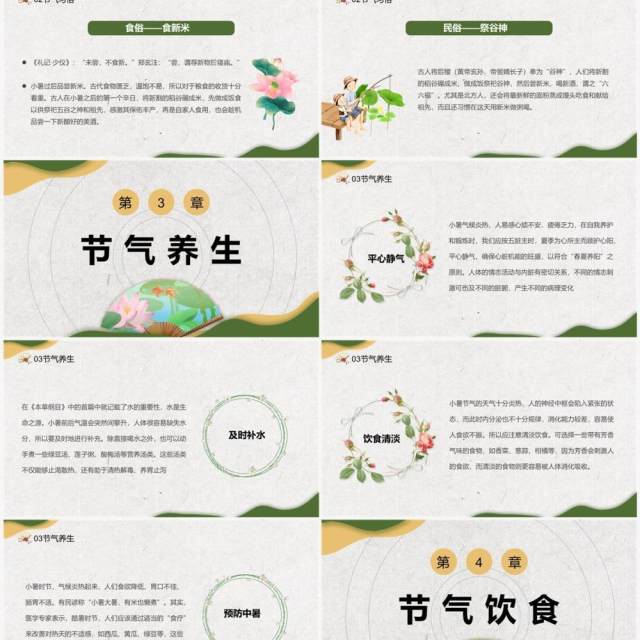 绿色中国风二十四节气之小暑PPT模板 绿色中国风二十四节气之小暑PPT模板