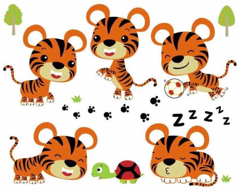 Vector set of cute little tiger and friend