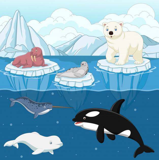 在北极的动画片狂放的北极动物