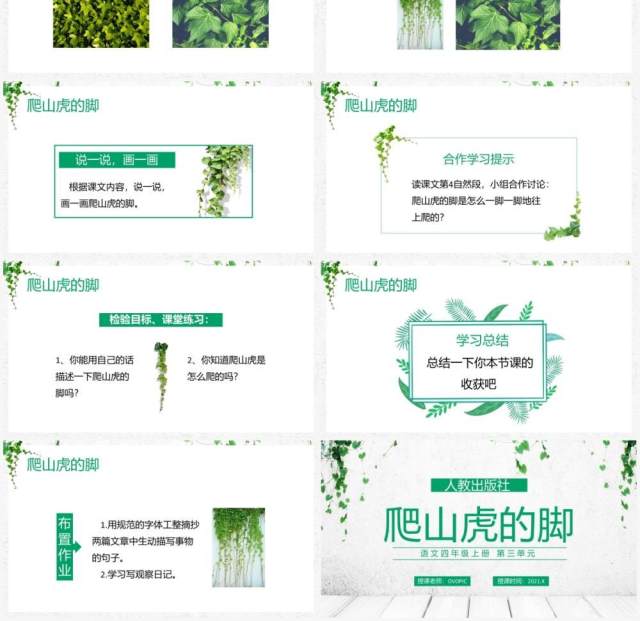 部编版四年级语文上册爬山虎的脚课件PPT模板 部编版四年级语文上册爬山虎的脚课件PPT模板