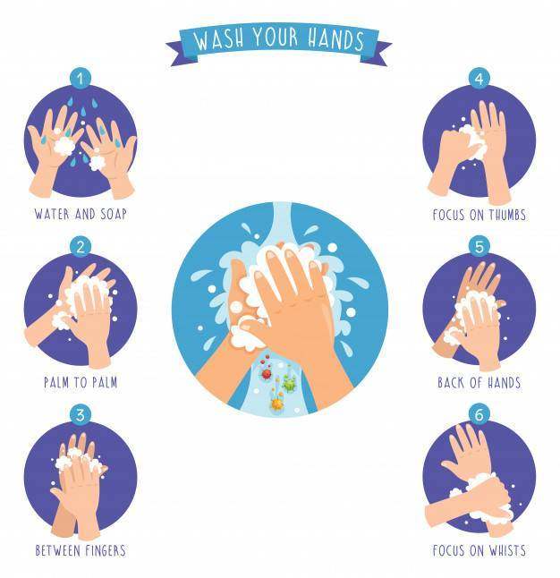洗涤的手的传染媒介例证