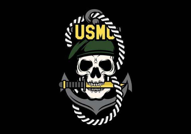 USMC头骨吉祥人传染媒介