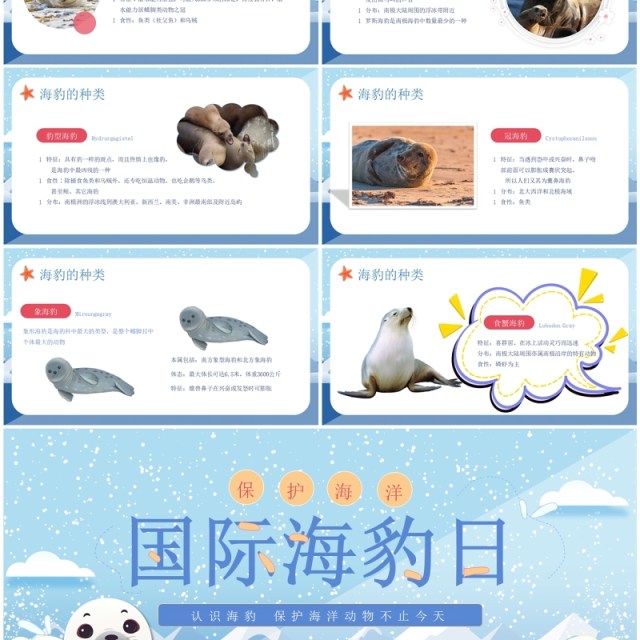 蓝色卡通风世界海豹日介绍PPT模板 蓝色卡通风世界海豹日介绍PPT模板