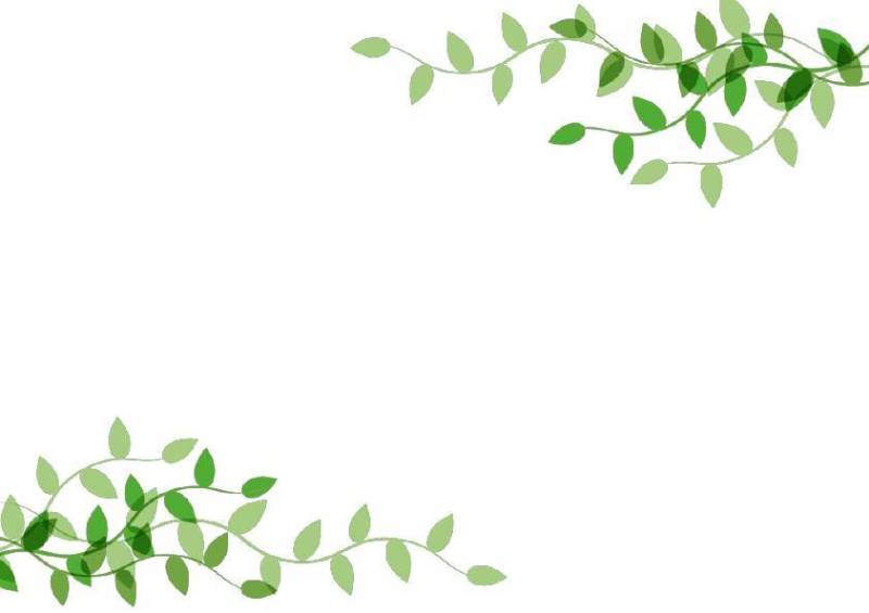 绿叶框架