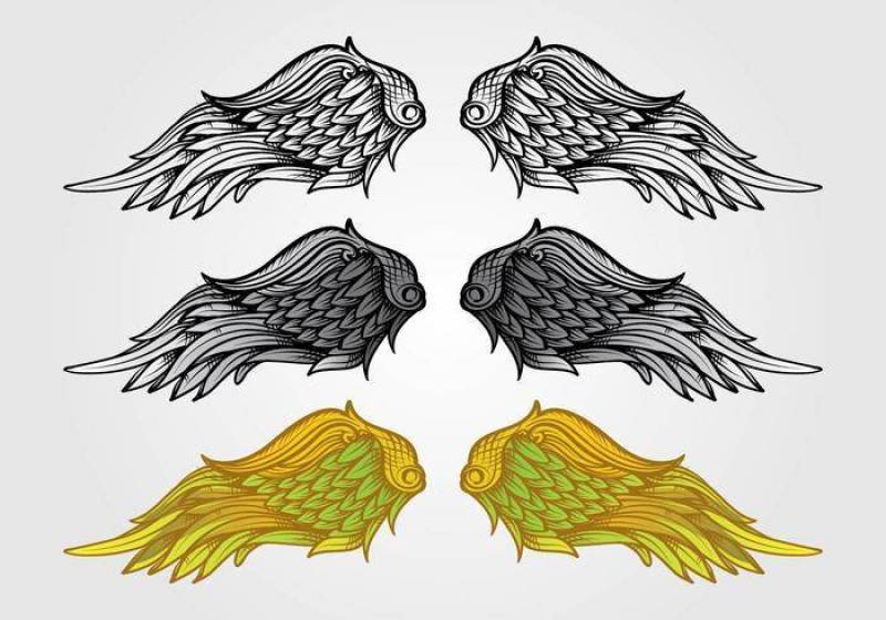 天使的翅膀矢量