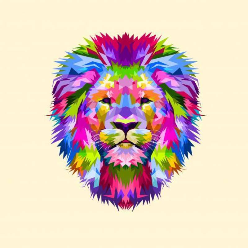 Colorful mascot head lion