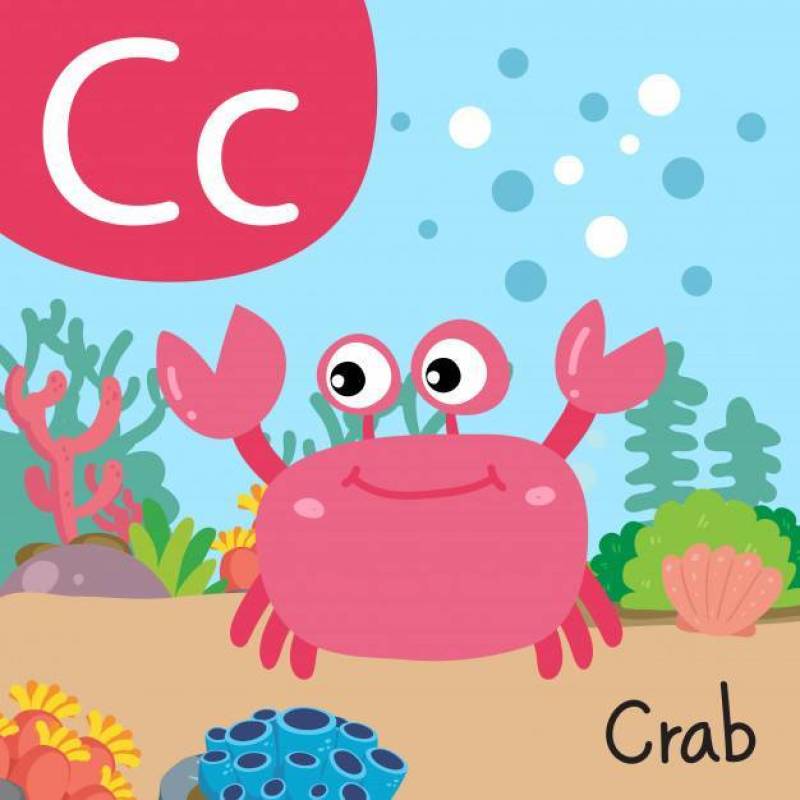 螃蟹图画线传染媒介设计