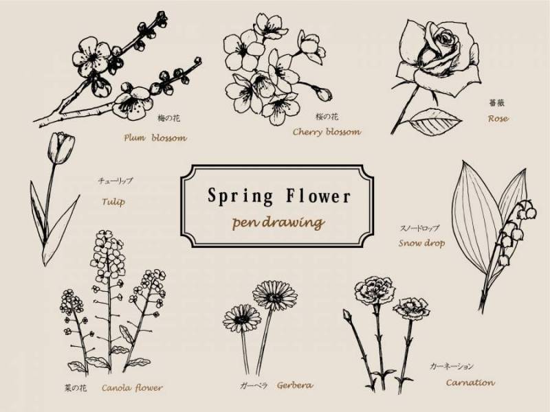 春天花笔绘图