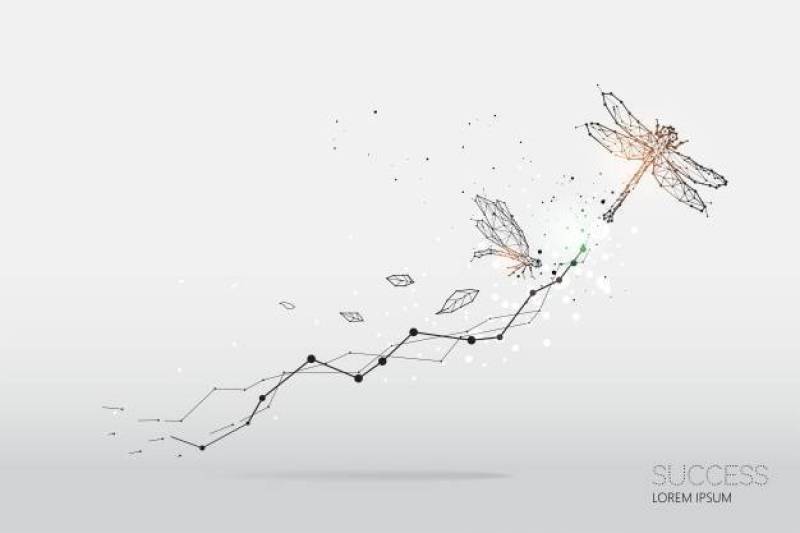 蜻蜓的粒子，几何艺术，线和点