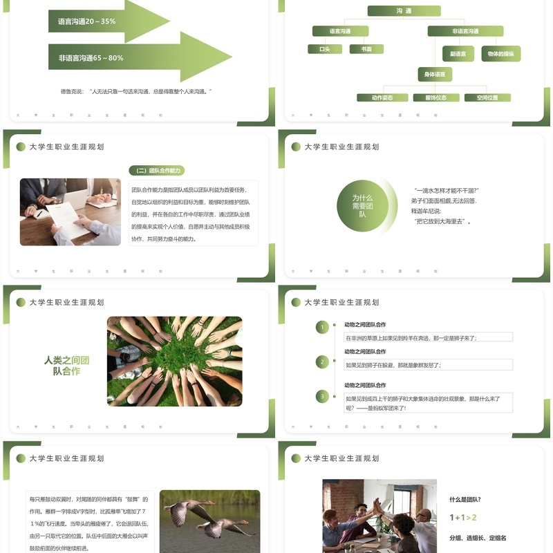 绿色简约风大学生职业生涯规划PPT模板