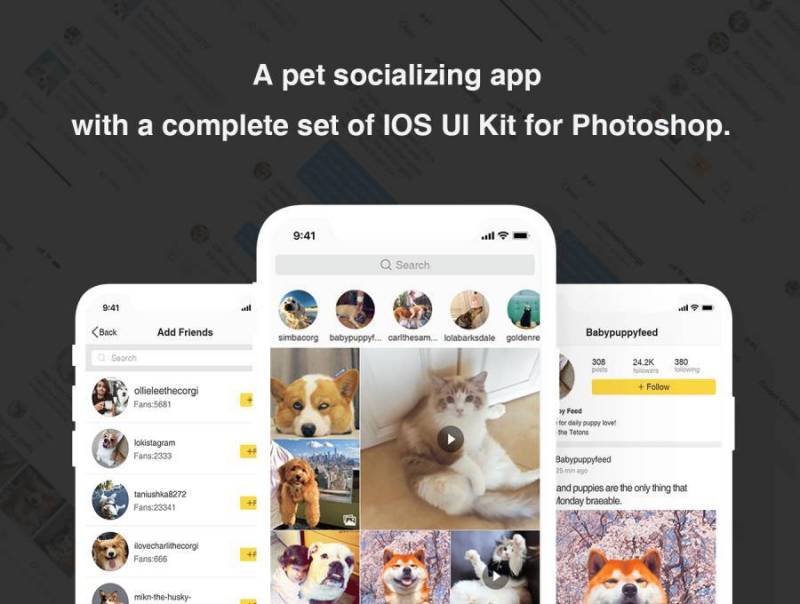 一款宠物社交应用程序，带有一套完整的IOS屏幕界面（含Sketch和Photoshop源文件）