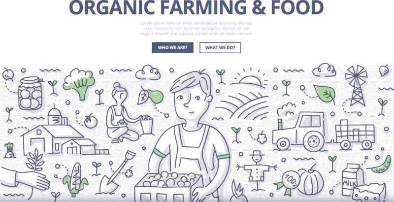 扁平化商务有机农业食品农产品概念图案插画矢量素材