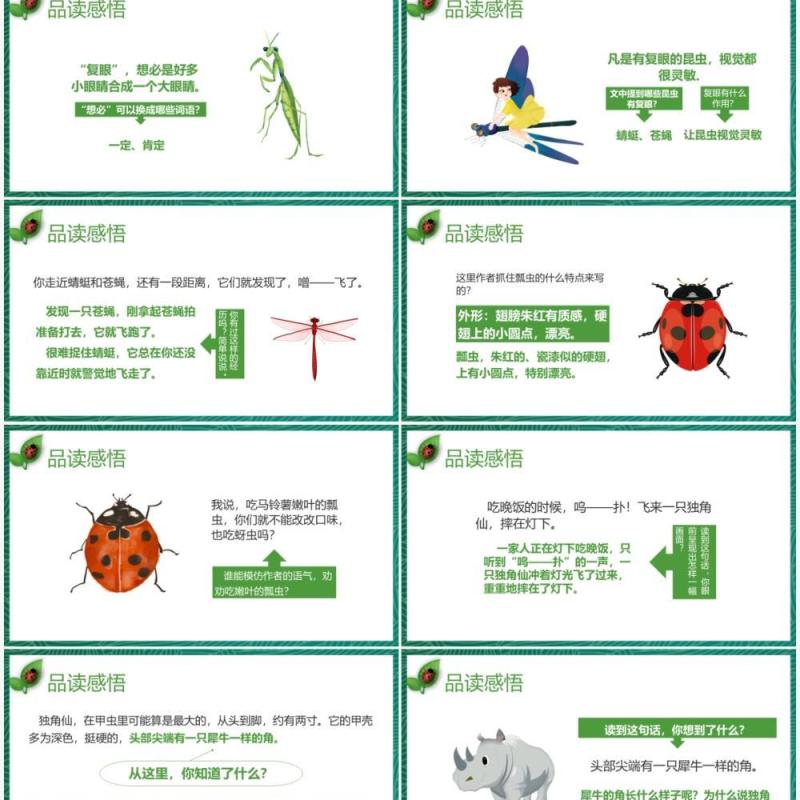 部编版三年级语文下册昆虫备忘录课件PPT模板