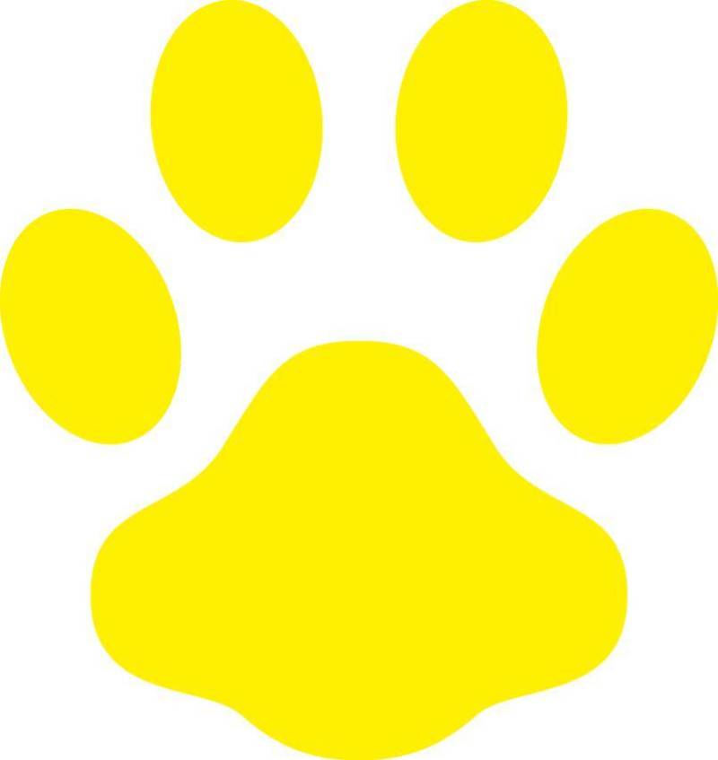 狗_足迹阿什_黄色