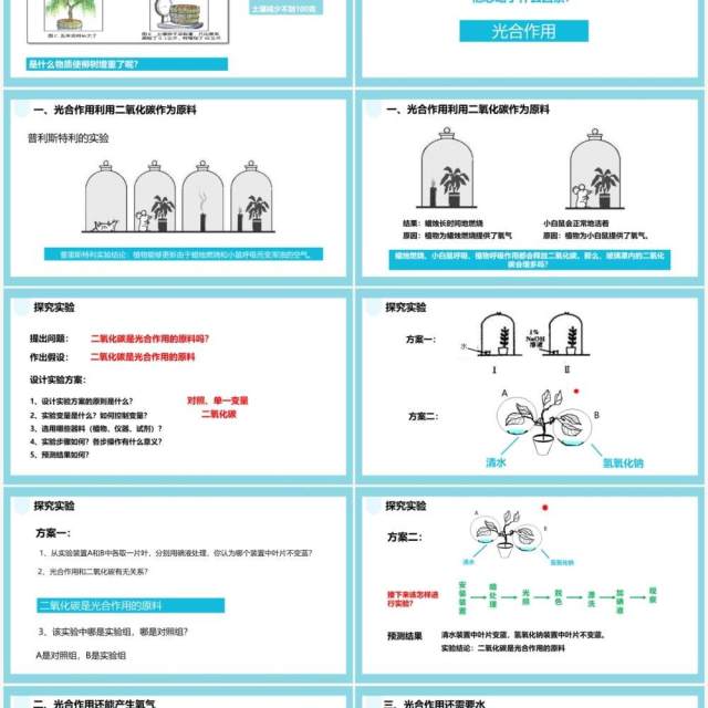 人教版七年级生物上册光合作用吸收二氧化碳释放氧气课件PPT模板