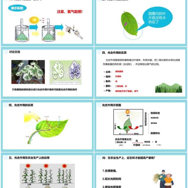 人教版七年级生物上册光合作用吸收二氧化碳释放氧气课件PPT模板