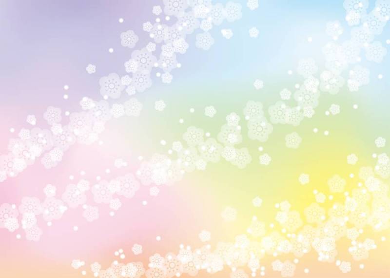 梅背景、A4横、涂足付