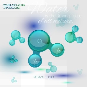信息图表生物气泡10 信息图表生物气泡10