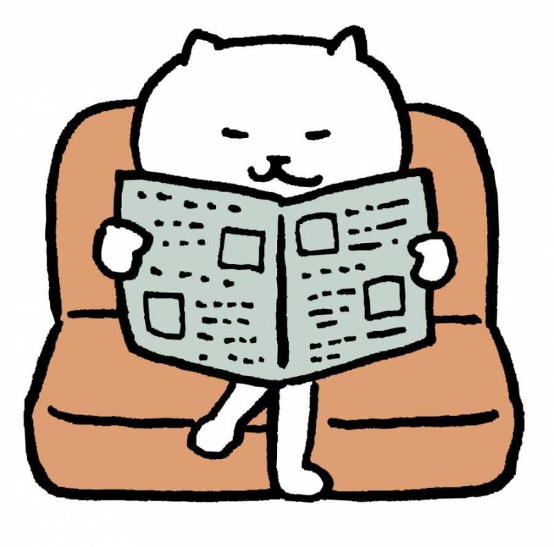 读猫报纸