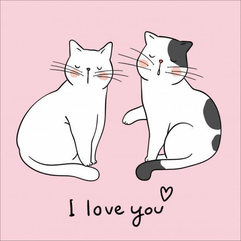 在粉红色上绘制情侣爱猫和单词我爱你