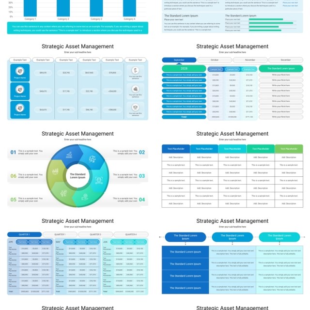 策略战略资产管理信息图表PPT模板Strategic Asset Management