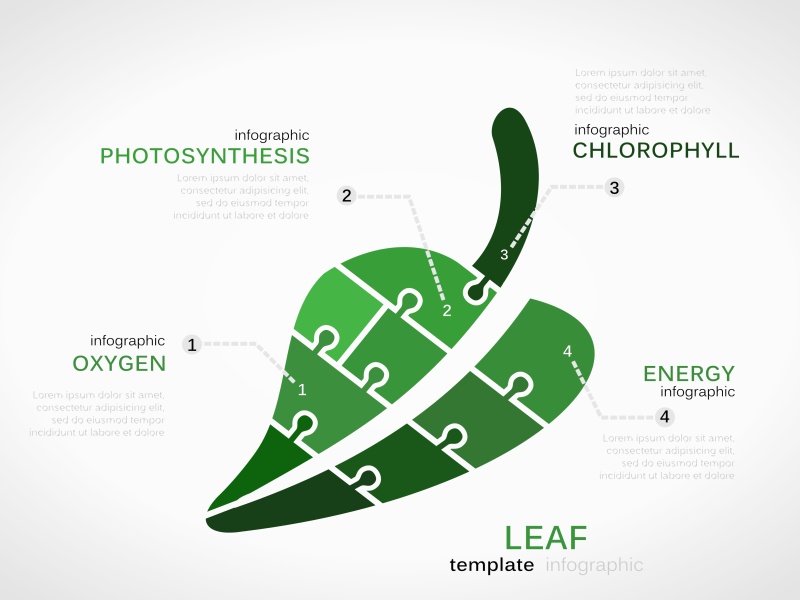 拼图信息图形设计元素214