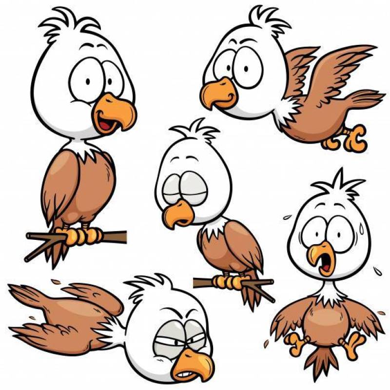 Cartoon Eagle Character