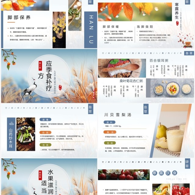 蓝色中国风二十四节气之寒露PPT模板 蓝色中国风二十四节气之寒露PPT模板