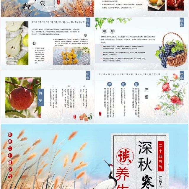 蓝色中国风二十四节气之寒露PPT模板 蓝色中国风二十四节气之寒露PPT模板