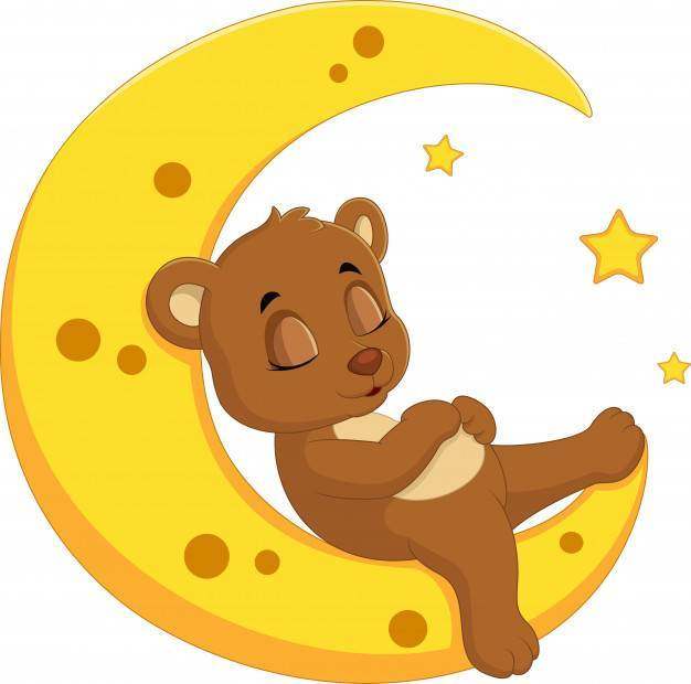 熊睡在月亮上