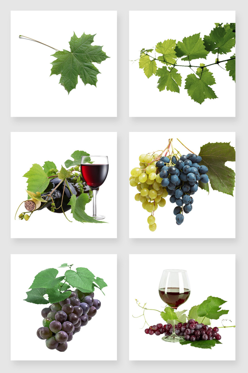 产品实物葡萄酒葡萄叶设计素材