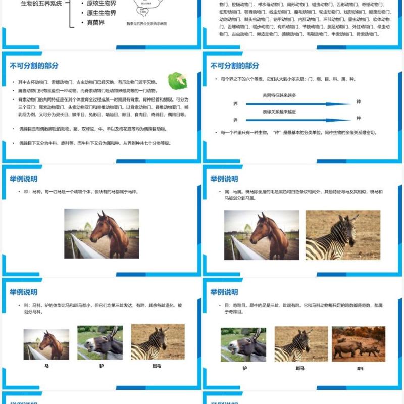 部编版八年级生物上册从种到界PPT模板 部编版八年级生物上册从种到界PPT模板